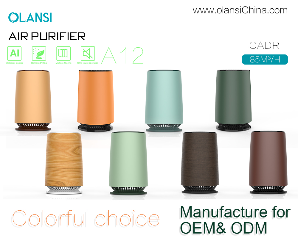 Fornecedores de purificadores de ar Olansi (15)
