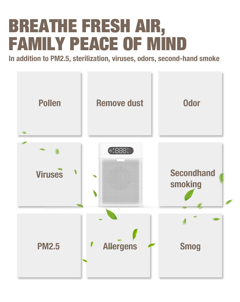 OLANANSI A1 AR purificador fornecedor (6)